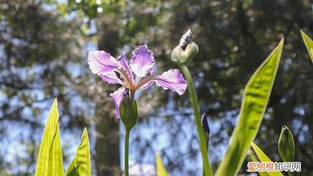 视频时代 Vlog相机应该如何选择