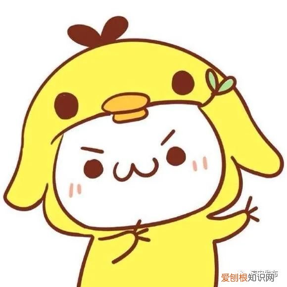 千岛湖五大漂流邀您冰爽一“夏”~