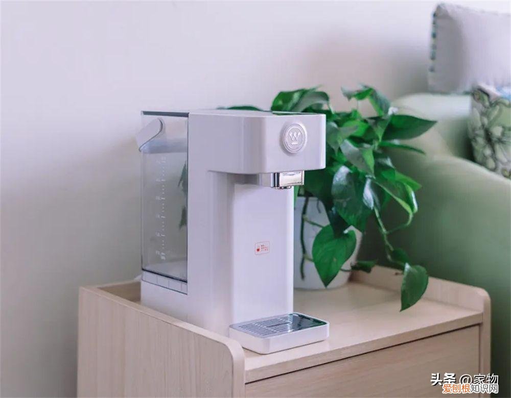 哪些小家电是“真香”？这7种，用过很难再离开