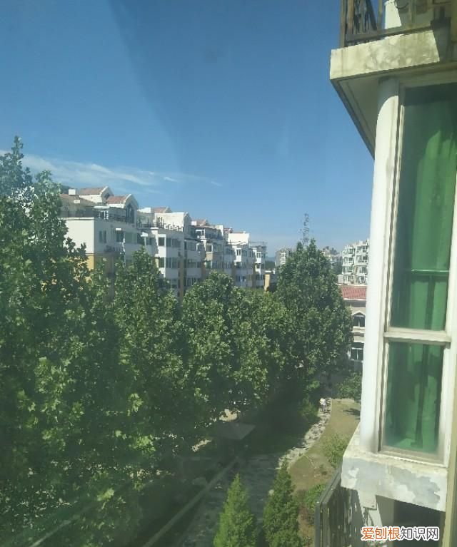 社会性死亡是什么意思