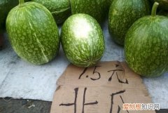 北瓜是什么瓜，陕北北瓜是什么瓜