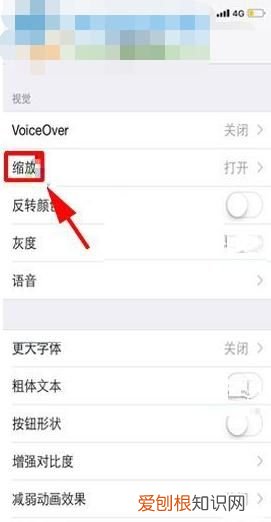 苹果手机缩放怎么关闭