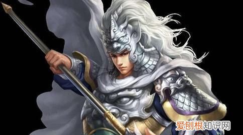 赵云为什么叫赵大勇