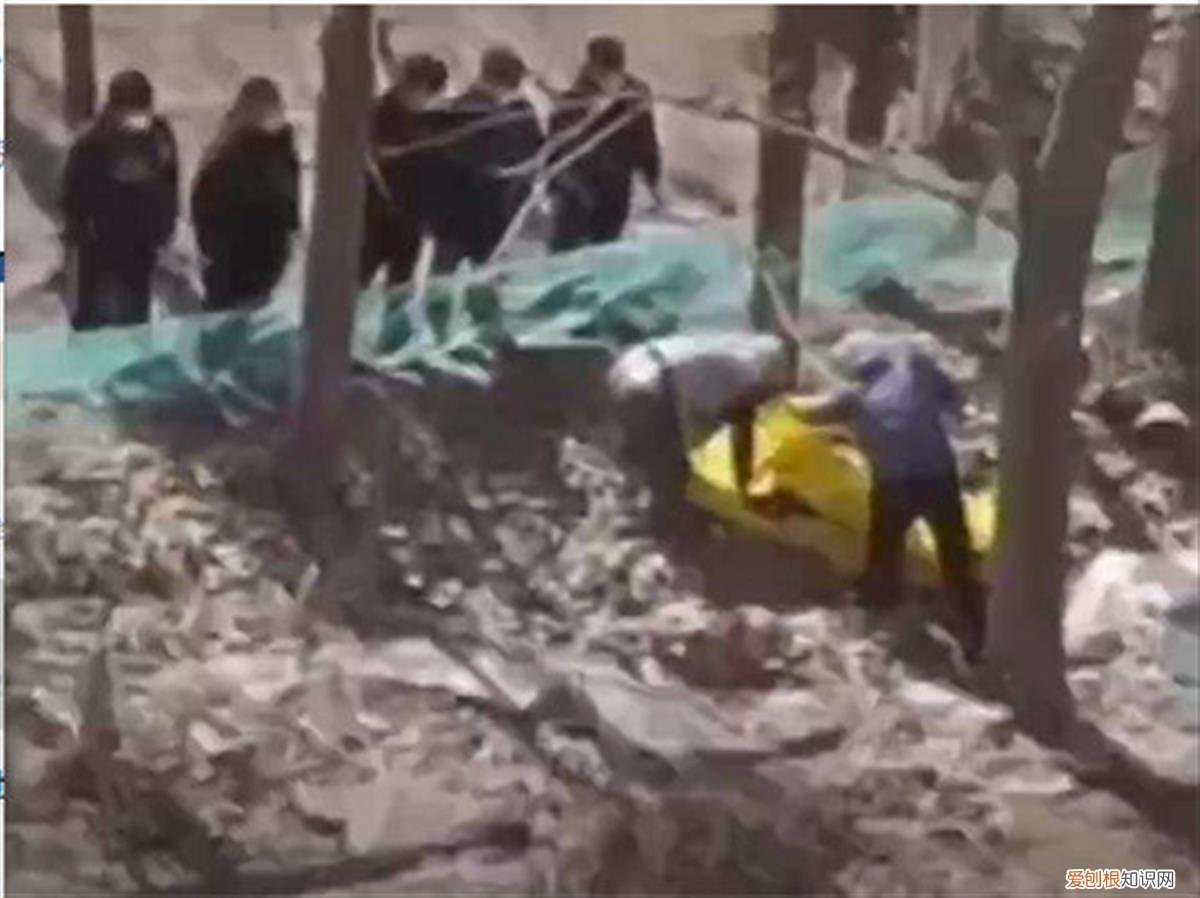 河北保定警方悬赏2万抓捕69岁嫌疑人，知情人：有人在树林里遇害