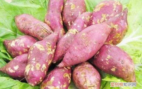 脆红薯干是油炸的