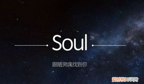 soul咋得才可以改名字，Soul半个月才能改一个名字吗