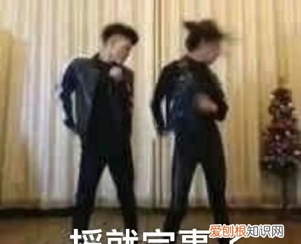 社会摇是什么意思，网络语“很社会”是什么意思