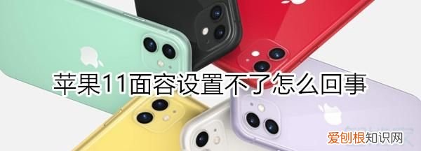 苹果无面容是什么原因,无面容的苹果是怎么回事