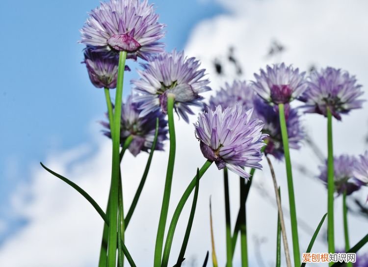 红米手机要怎么样截图