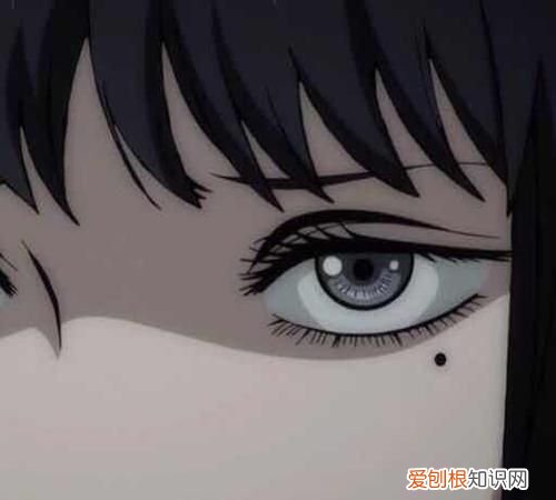 食不相瞒是什么意思