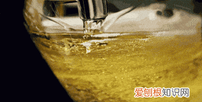 过期的啤酒能喝么有什么用 过期的啤酒到底能不能喝