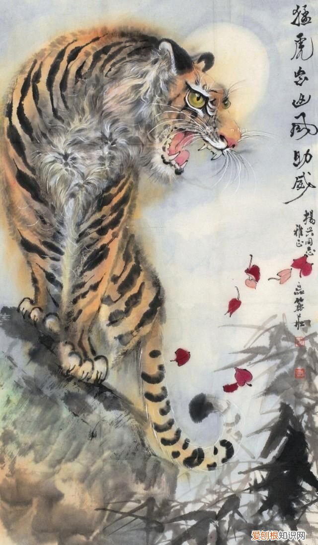 他笔下的孔雀千姿百态