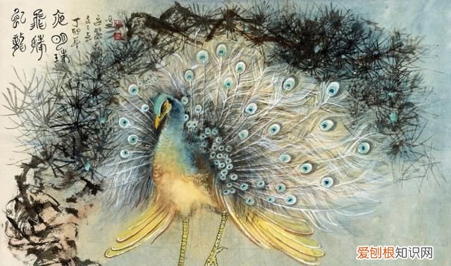 他笔下的孔雀千姿百态