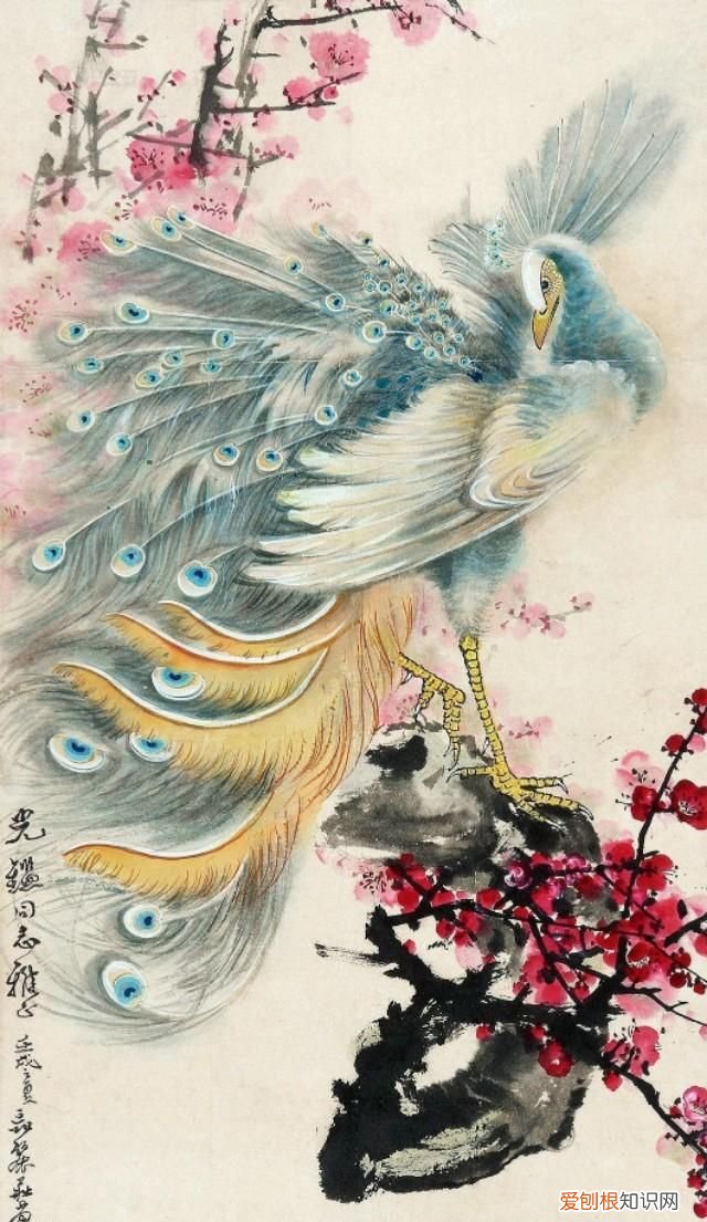 他笔下的孔雀千姿百态