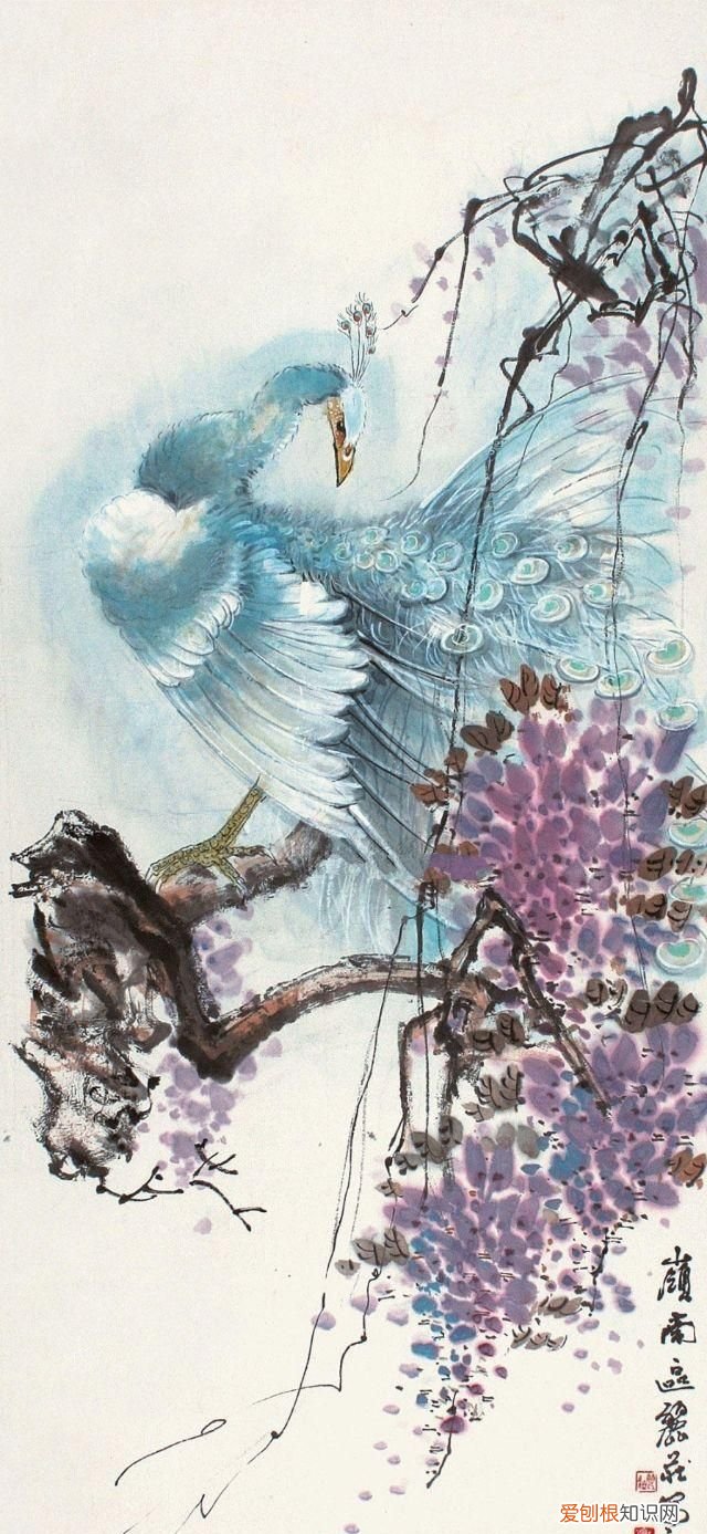 他笔下的孔雀千姿百态
