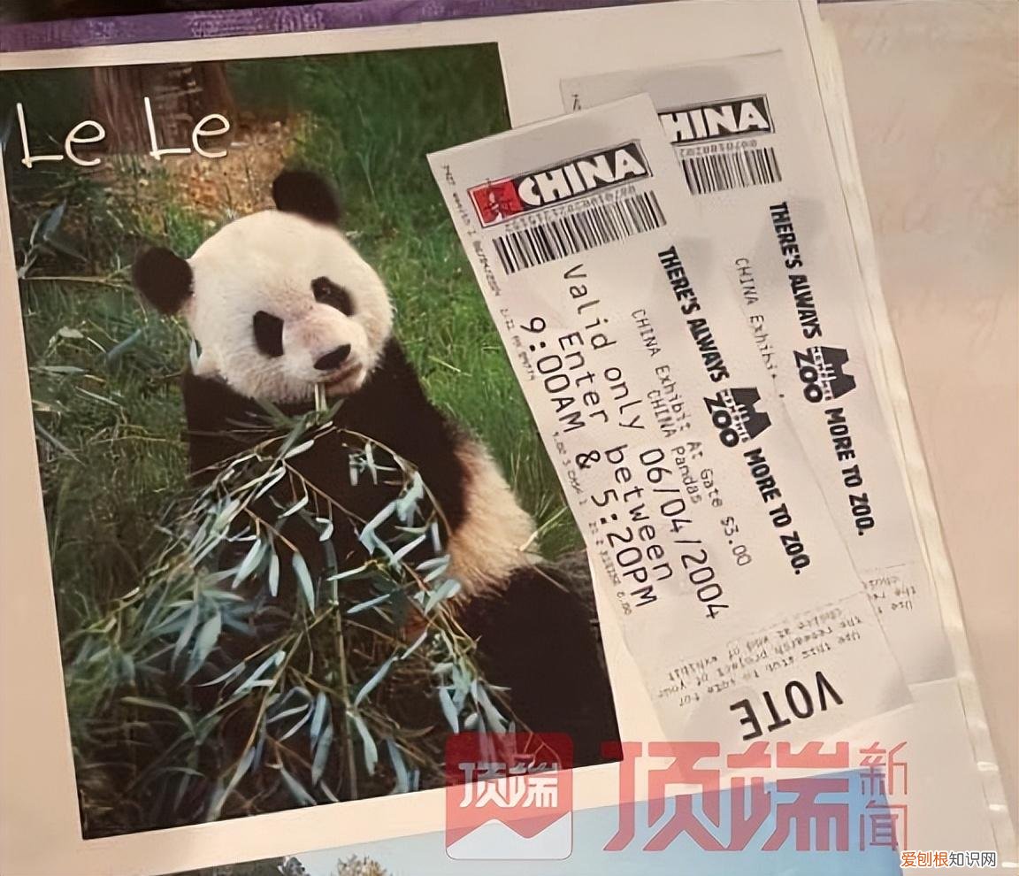 旅美大熊猫“乐乐”离世，知情人：已有专家赴美照看“丫丫”