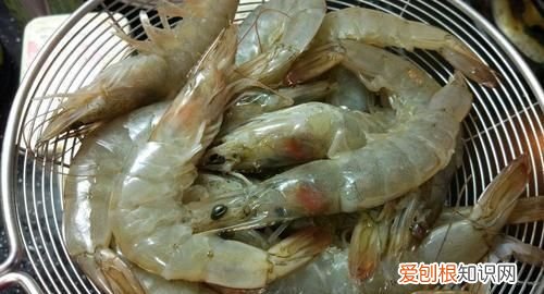 虾死了多久不能吃