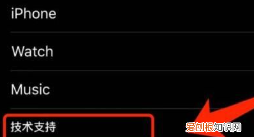 官网怎么查询苹果激活时间,苹果手机怎么能查看激活时间