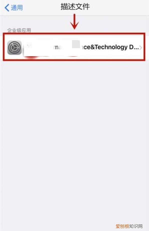 苹果手机企业信任怎么设置,苹果开发者信任选项怎么设置