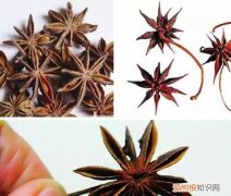 十二个角的八角能吃吗，十二角加八角等于几元