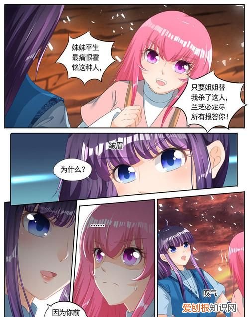 家兄又在作死女主和谁结婚了,亲爱的吾兄电视剧总共多少集