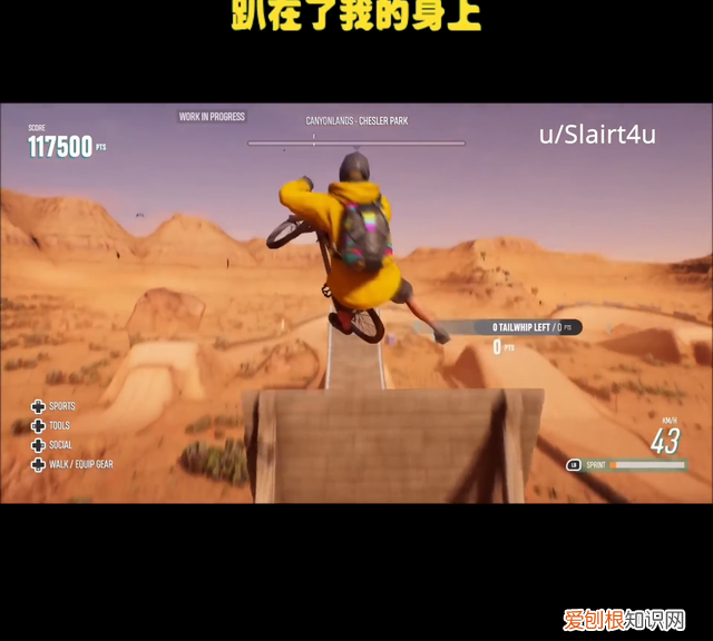 冷淡姐是哪个明星