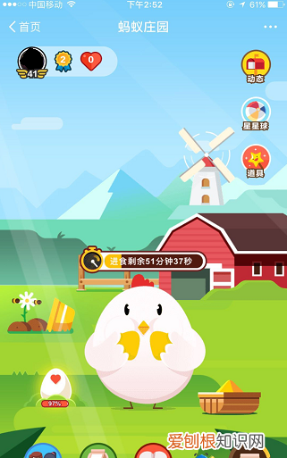 蚂蚁庄园的小鸡要怎么抢食,支付宝蚂蚁庄园怎么偷吃别人的饲料