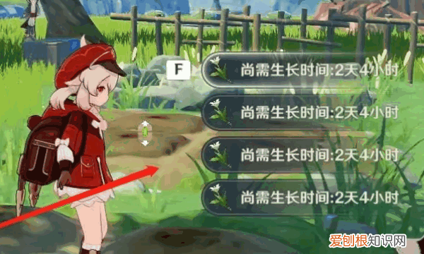 原神塞西莉亚花在哪获得，塞西莉亚花在哪采集除了摘星崖