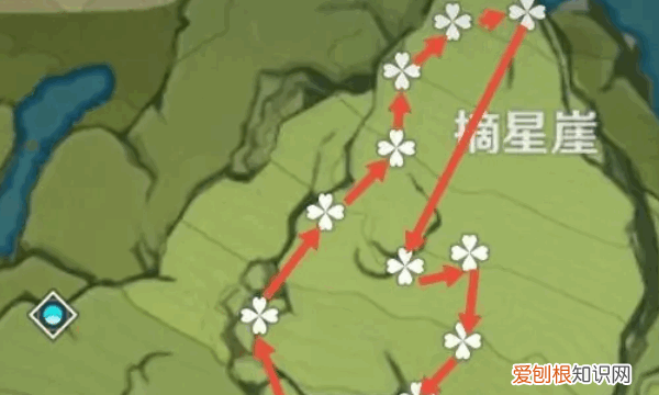 原神塞西莉亚花在哪获得，塞西莉亚花在哪采集除了摘星崖