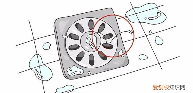 怎么能让蟑螂整窝团灭 灭蟑第一步找准蟑螂巢穴