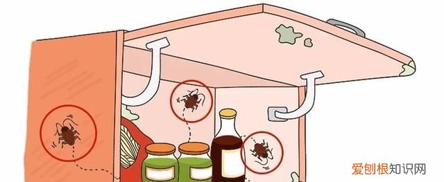 怎么能让蟑螂整窝团灭 灭蟑第一步找准蟑螂巢穴
