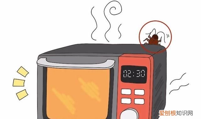 怎么能让蟑螂整窝团灭 灭蟑第一步找准蟑螂巢穴