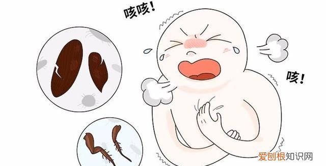 怎么能让蟑螂整窝团灭 灭蟑第一步找准蟑螂巢穴