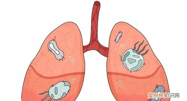怎么能让蟑螂整窝团灭 灭蟑第一步找准蟑螂巢穴