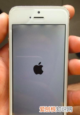 如何重启苹果手机，iphone如何才能重启手机