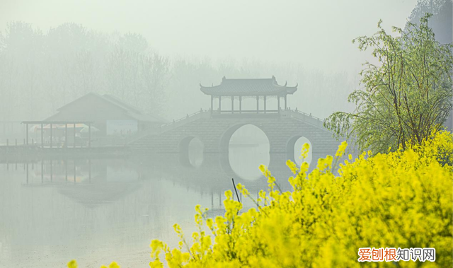 烟花三月下江南猜三个数字