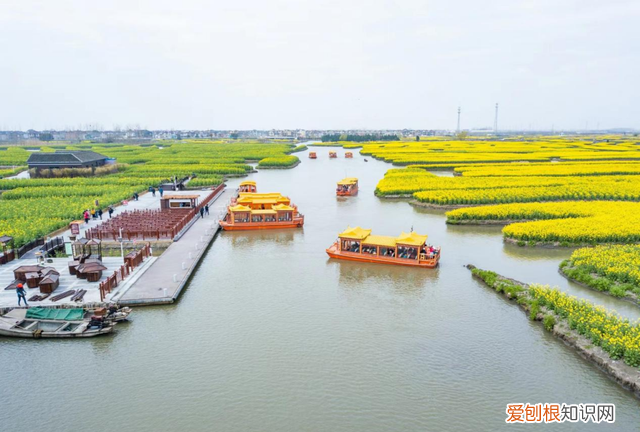 烟花三月下江南猜三个数字