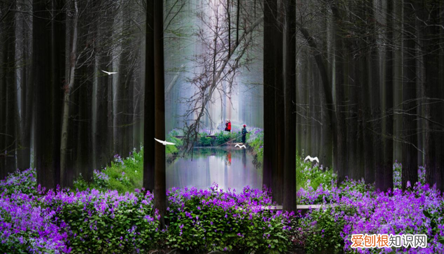 烟花三月下江南猜三个数字