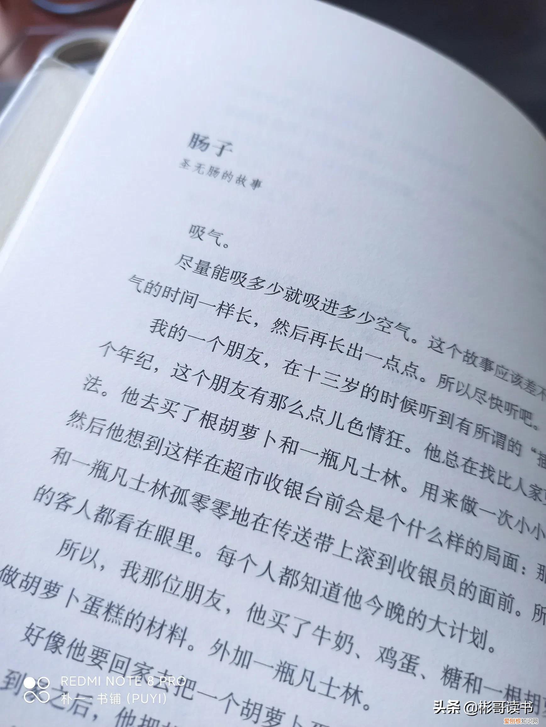 一本重口味的小说