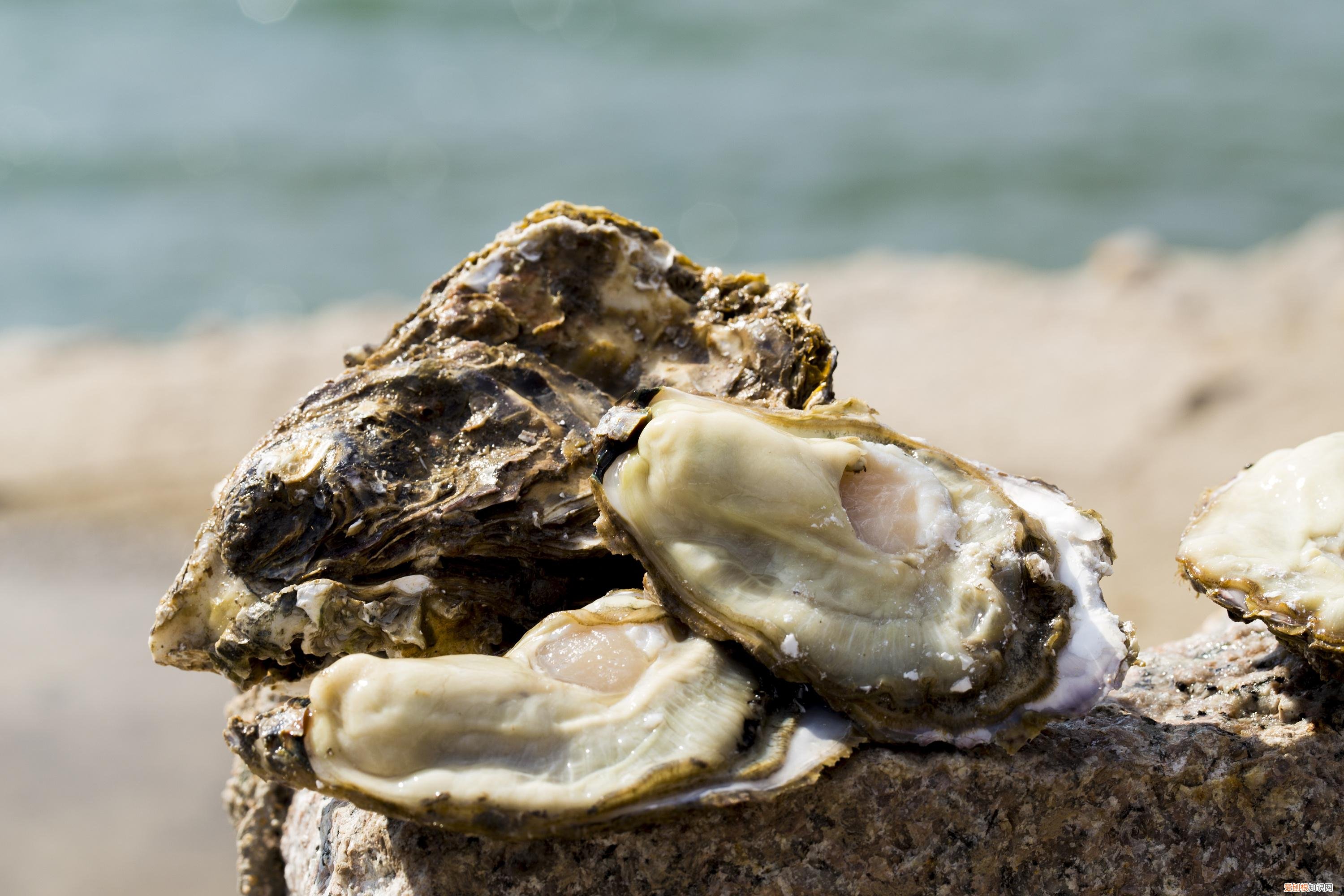 “李锦记”和“海天”耗油，你更习惯哪一款？