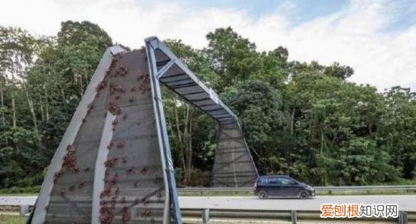 130多万美元的“黄金厕纸”含有22k黄金?