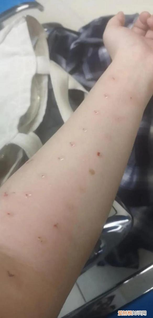 130多万美元的“黄金厕纸”含有22k黄金？