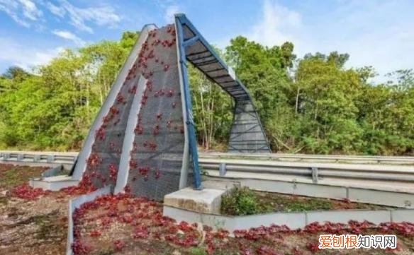 130多万美元的“黄金厕纸”含有22k黄金?