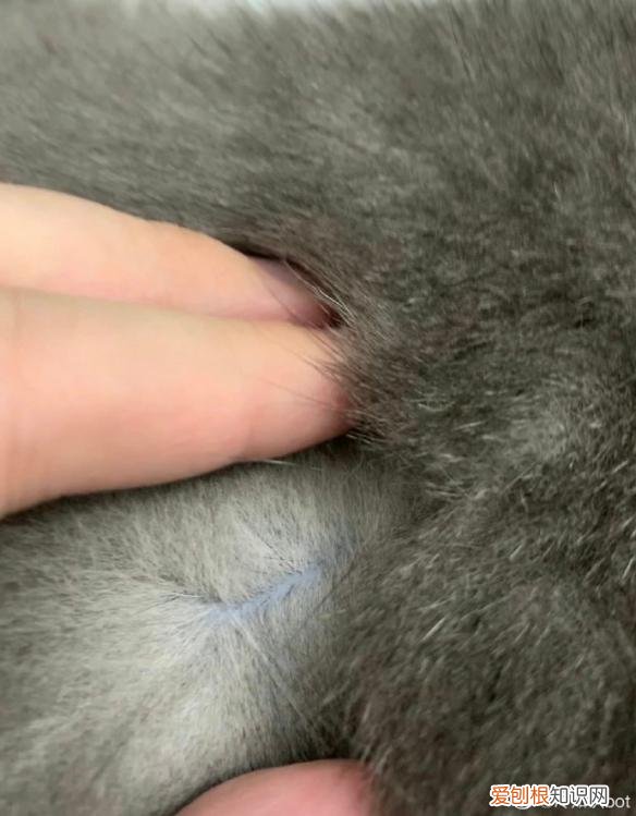 130多万美元的“黄金厕纸”含有22k黄金？