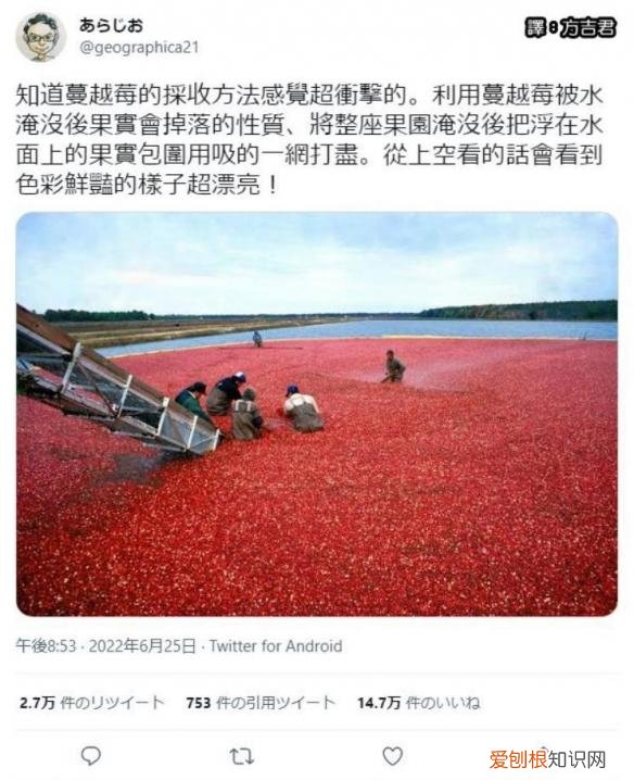 130多万美元的“黄金厕纸”含有22k黄金？