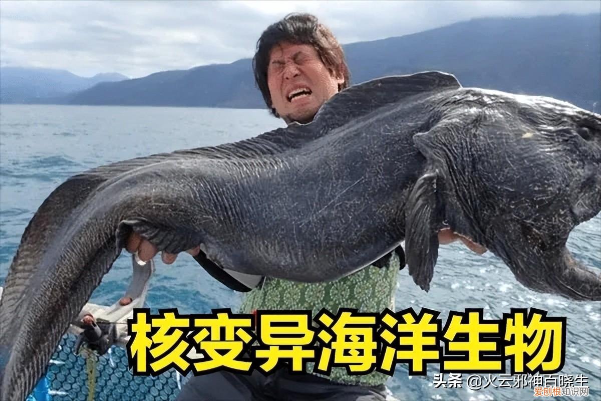 伊藤润二的漫画作品