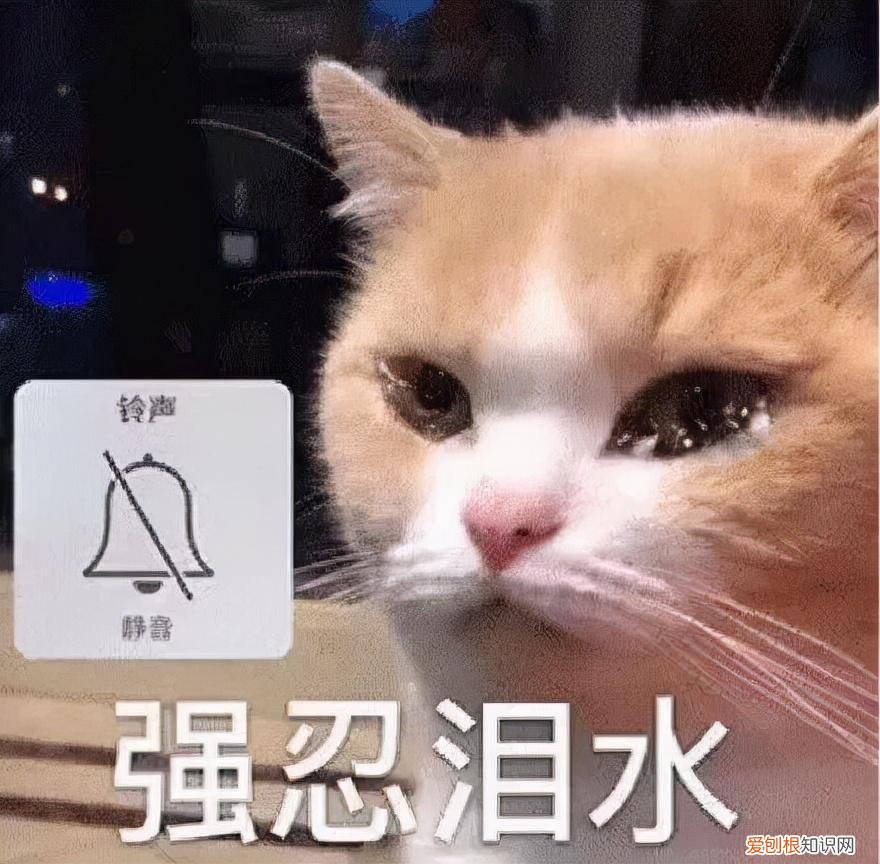 黑莓的BlackBerry OS手机操作系统宣布关停