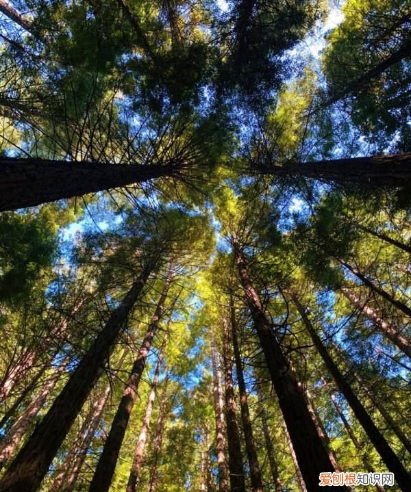 取之有度用之有节则常足什么意思