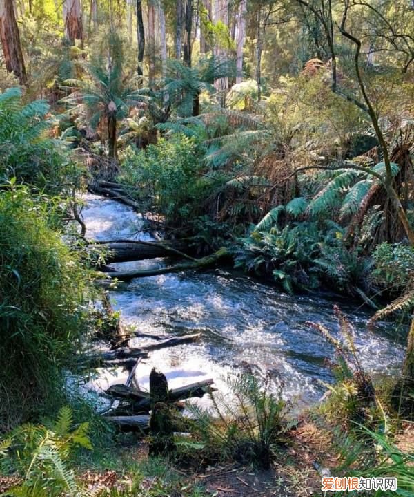 取之有度用之有节则常足什么意思