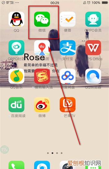 怎么看微信钱包有多少钱，电脑版微信怎么查看钱包零钱余额